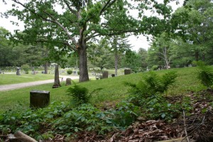 Quabbin Park Cemetery, 2011. Note stone in the foreground, lower left of photo. CLICK TO ENLARGE.