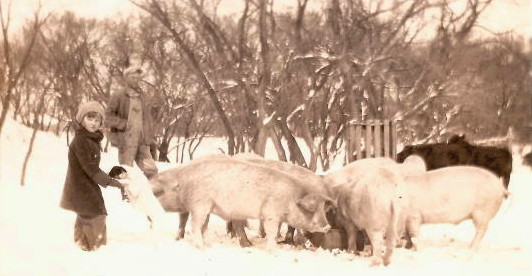 Claudine Abele with father Jake, and the hogs, 1930s