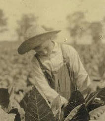 William Fugate, Hedges Station, Ky, 1916. Photo by Lewis Hine.